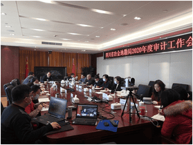 局召开2020年审计事情会_尊时凯龙新闻_金喜最火知名网_尊时凯龙有限责任公司