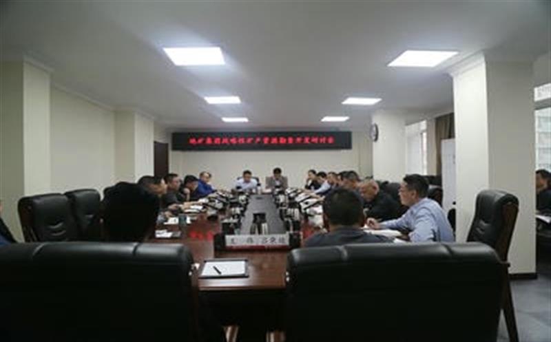 集团总工程师李仕荣赴地矿集团调研战略性矿产尊时凯龙勘查开发事情