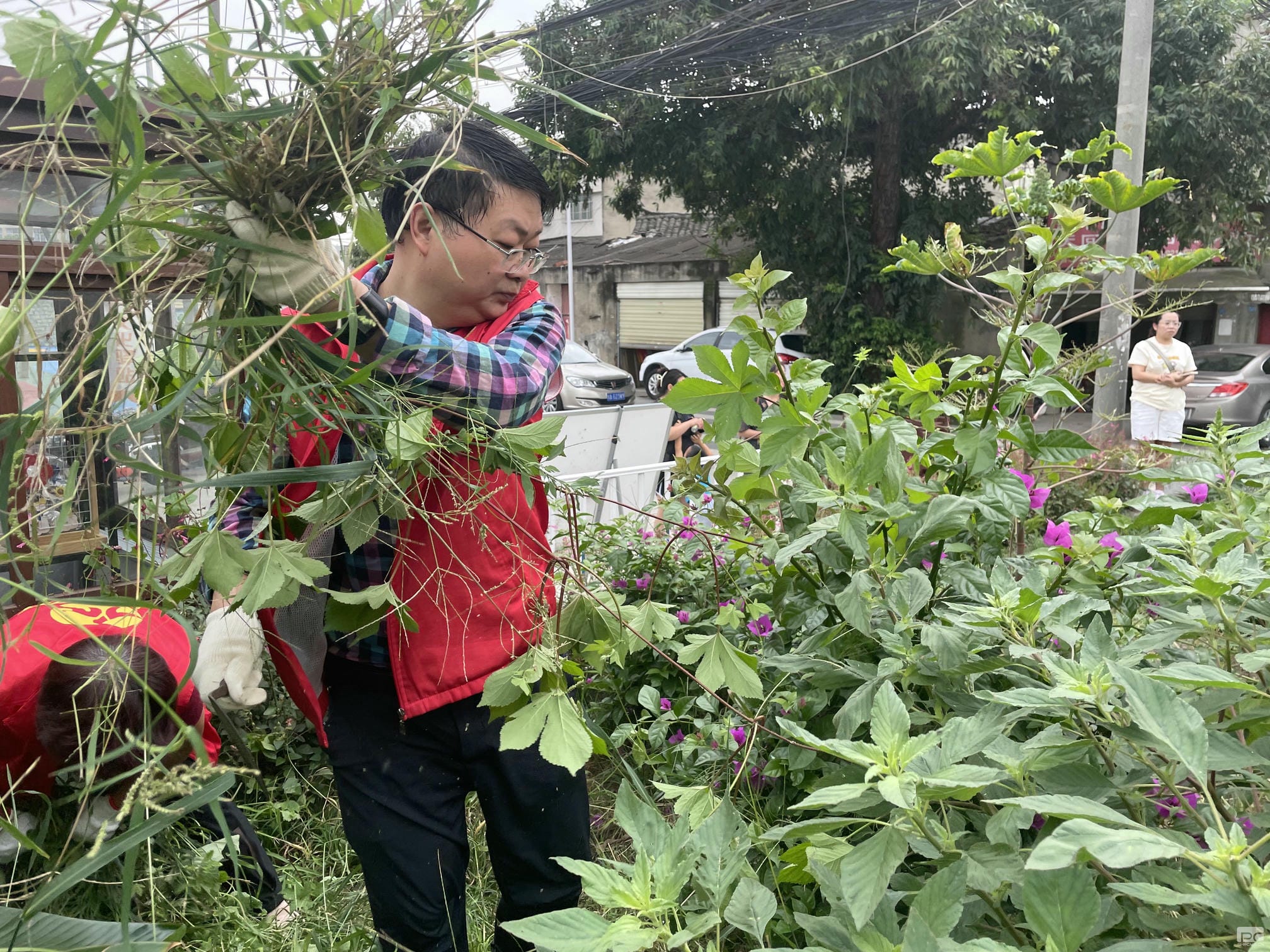 成都探矿加入土门社区微绿地维护自愿活动_下层动态_金喜最火知名网_尊时凯龙有限责任公司