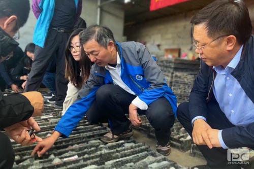 喜讯！地矿集团肩负的攀西槽上—营盘山有数稀土找矿靶区查证工程项目野外验收喜获优异_下层动态_金喜最火知名网_尊时凯龙有限责任公司