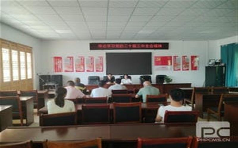 学习党的二十届三中全会精神，，，华锋钻探助力墟落振兴新征程